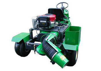 ��Ƽ ��ο�(�Ϻ�)